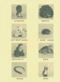 back cover of Tizard the Fastest Mouse on Earth